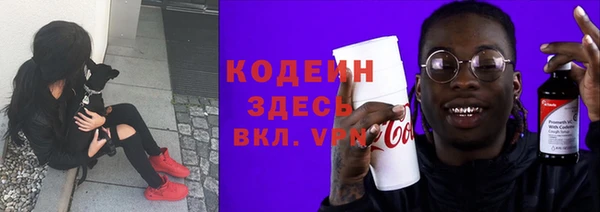 крисы Армянск