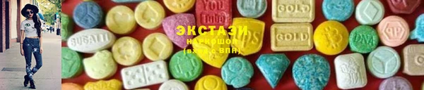 гашик Няндома