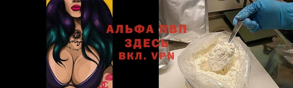 стаф Арсеньев