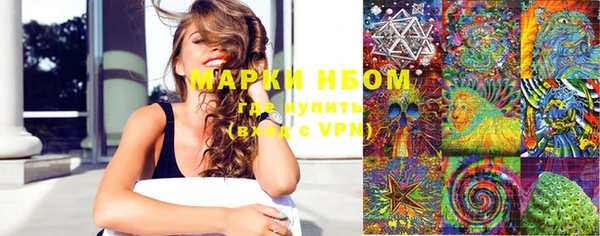 крисы Армянск