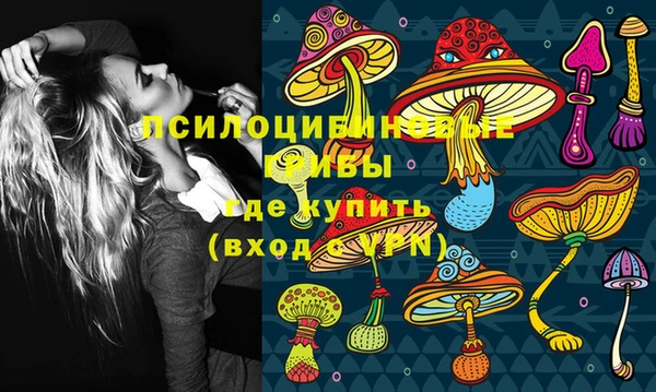 стаф Арсеньев
