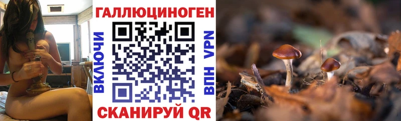 Галлюциногенные грибы мухоморы  Североморск 
