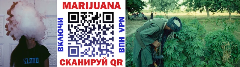 MEGA ТОР  купить наркотики сайты  Североморск  Шишки марихуана LSD WEED 
